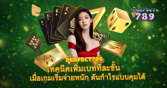PERFECT789 เทคนิคเพิ่มเบททีละขั้น จังหวะเกมจ่ายหนัก ช่วยทำกำไรได้แบบควบคุมได้